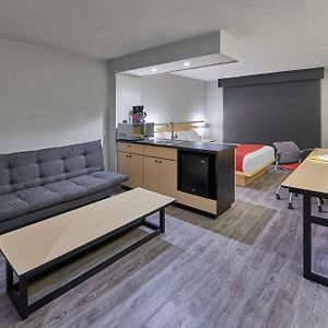 Queen Suite Sofa Bed